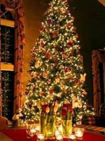 A Tarot Medium and A Listed Certified Master Psychic