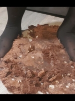 whole chocolate cake foot stomp cover image