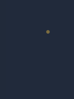 Sal Developer Psychic Test 1