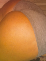Yummy mommy ava