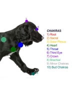 Dog Solar Plexus Healing Frequency cover image